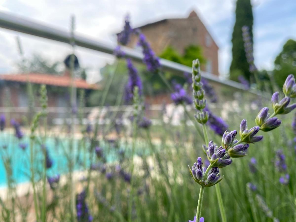 La Bacaia Villa Marciano della Chiana Luaran gambar